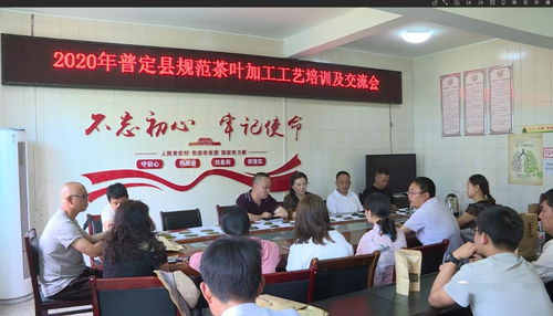 全縣規(guī)范茶葉加工工藝培訓(xùn)及交流會(huì)順利召開